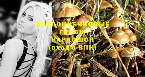 марки lsd Дмитриев