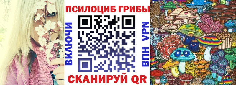 Псилоцибиновые грибы Psilocybe  Купить закладки  Апатиты 